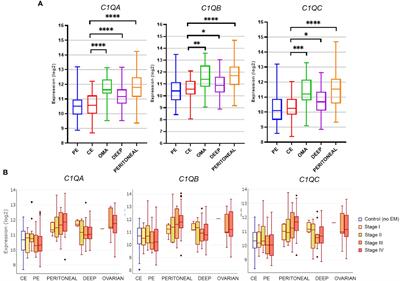 Proangiogenic properties of complement protein C1q can contribute to endometriosis
